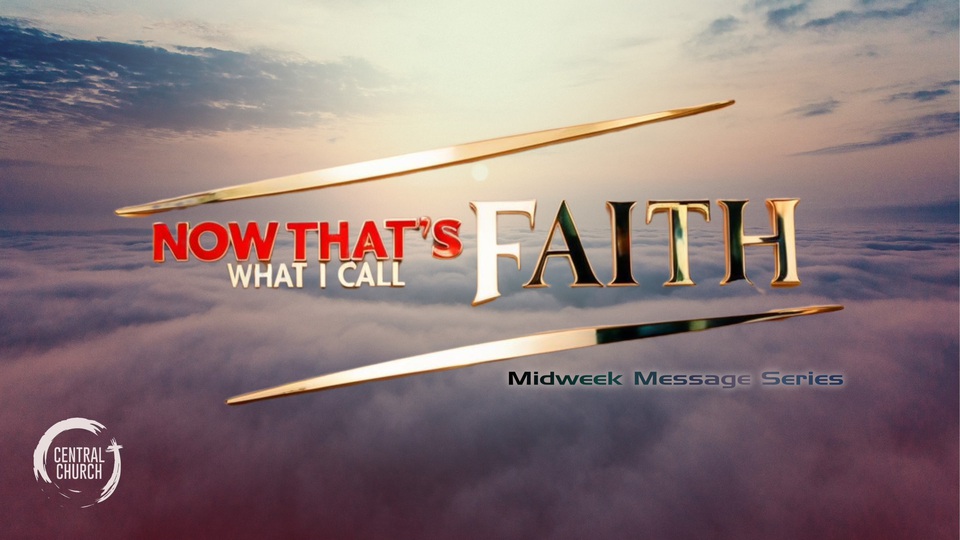 Part 1 – Our New Family