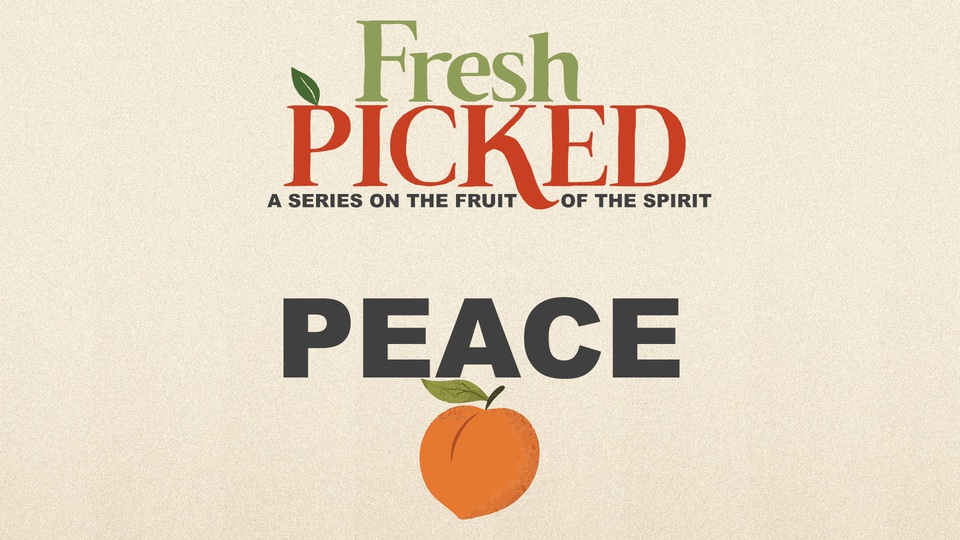 Peace - Calm In the Chaos