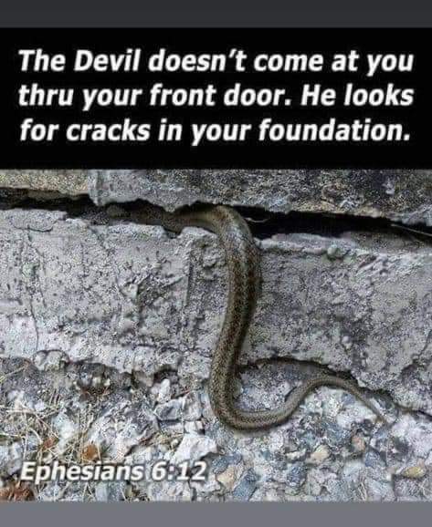 Snake in Crack Image.jpg