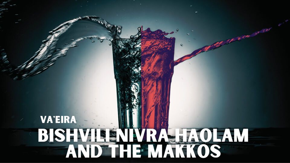 Va'eira - Bishvili Nivra Haolam and the Makkos