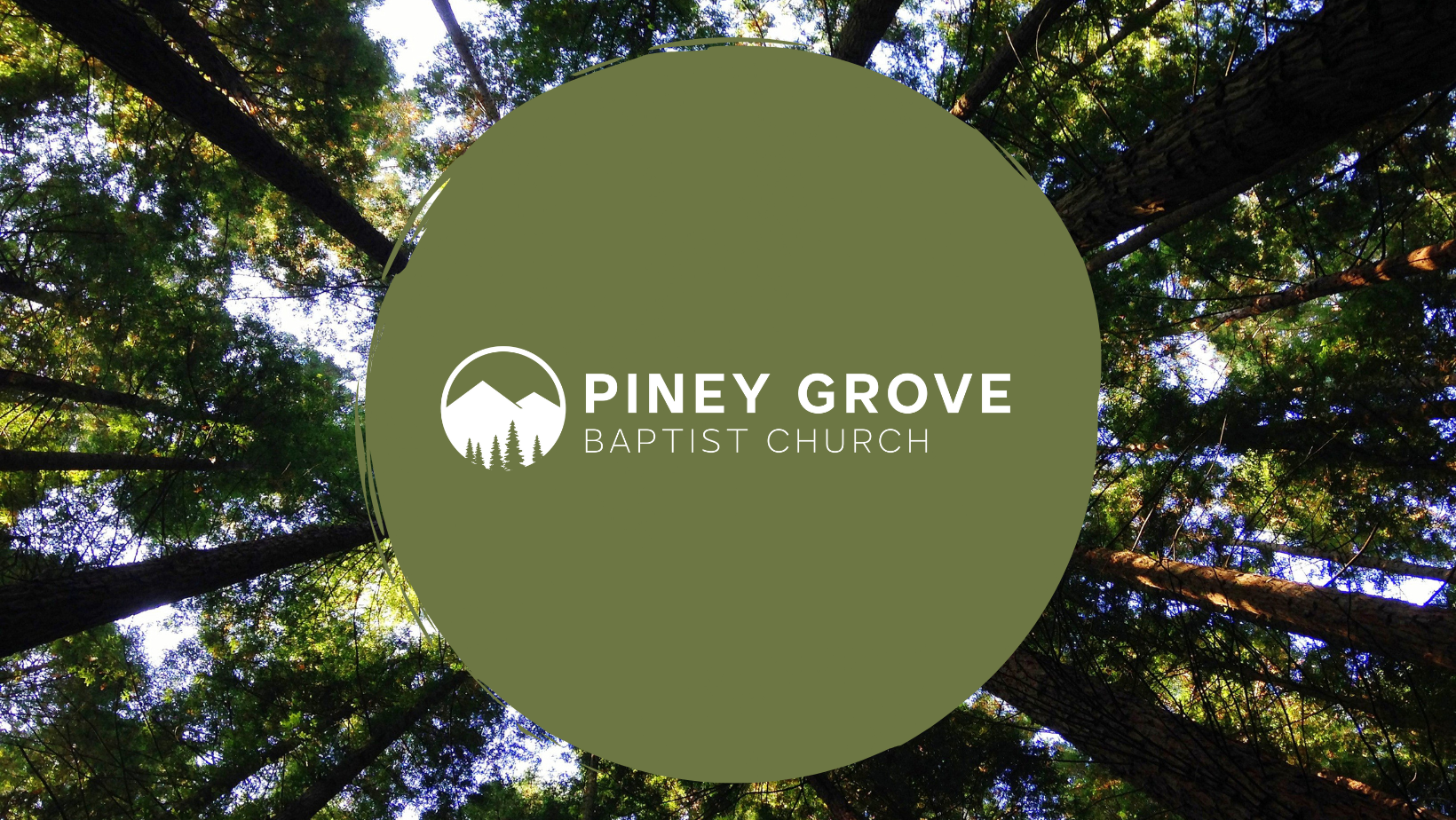 logo cover image.png