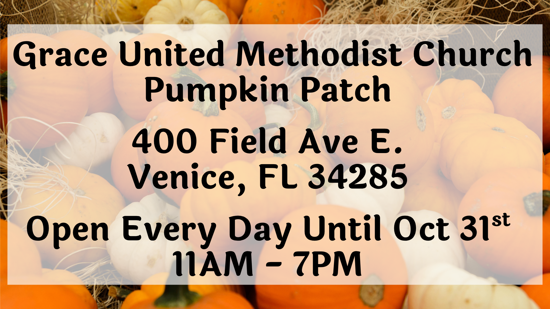 Pumpkin update (1).png