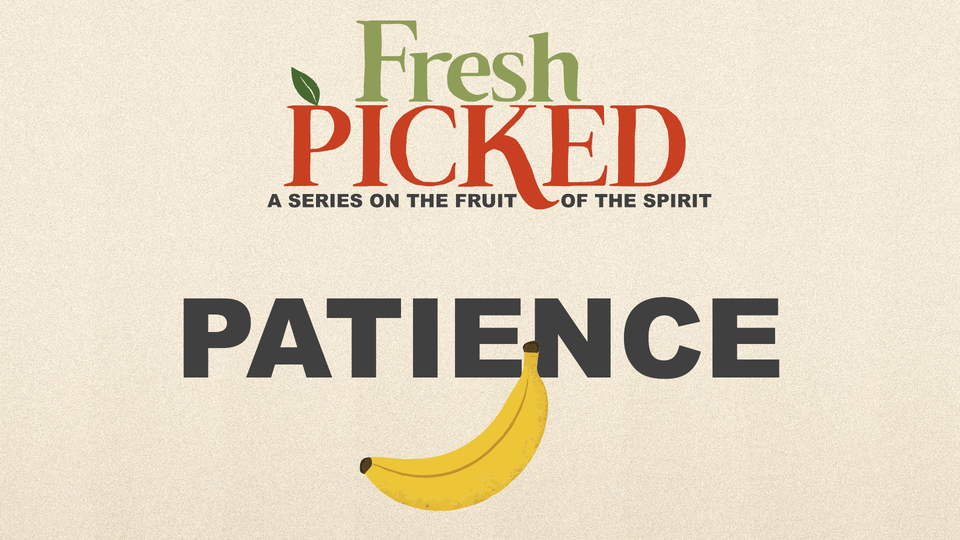 Patience - Faithful Endurance