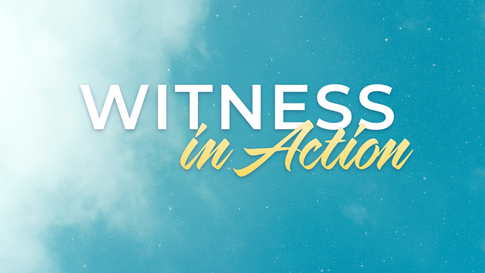 Witness in Action - Part 4